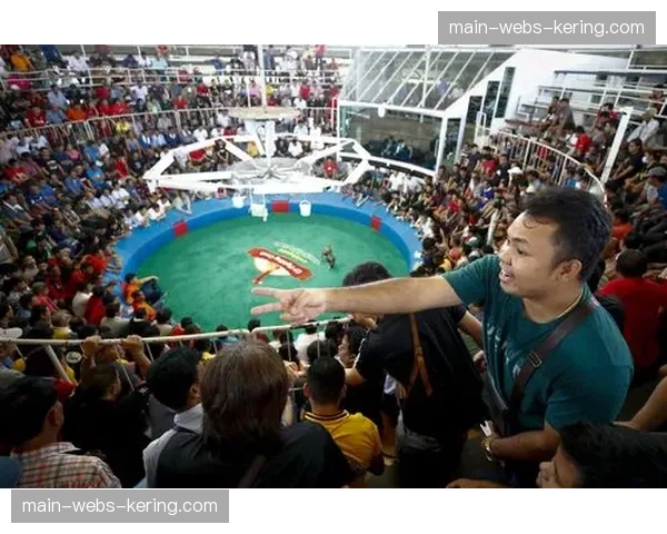 比赛出现罕见场景，选手护齿被打飞导致比赛暂停